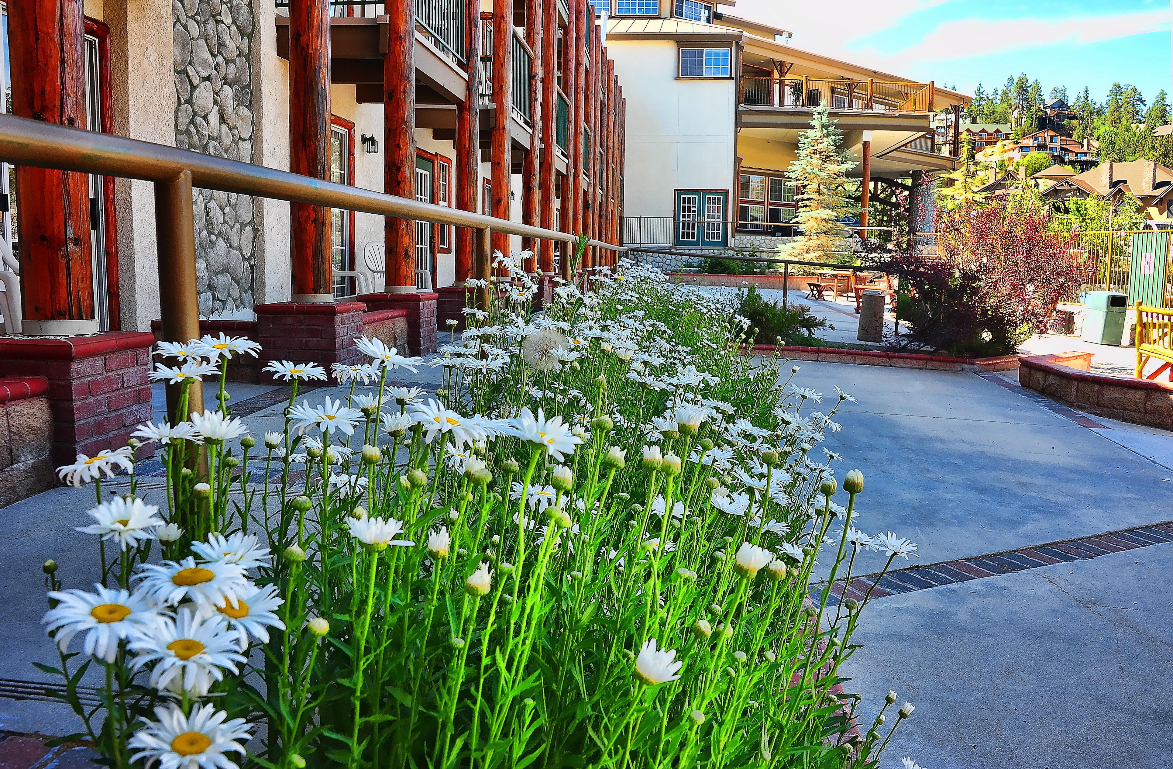 Holiday Inn Resort The Lodge At Big Bear Lake By Ihg Kültér fotó